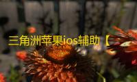 三角洲苹果ios辅助【黑夜】辅助